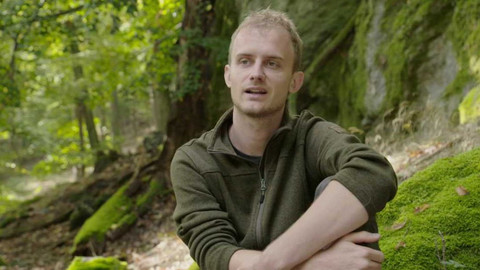 Nedej se! - Co vyprávěl kulíšek