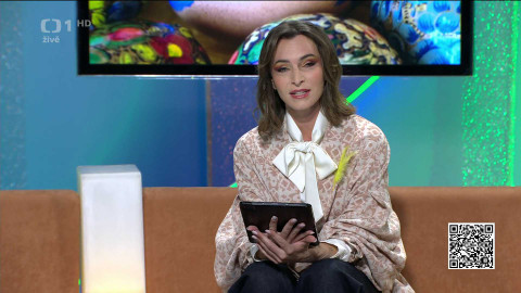 Pomozte dětem - 1/4 Denní vstup