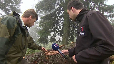 Týden v regionech (Ostrava) - 3. srpna 2019