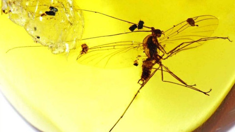 Týden v regionech (Ostrava) - 12. září 2020