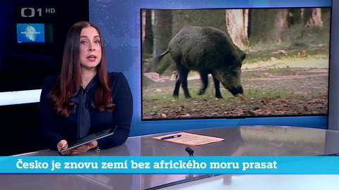 Události v regionech (sever a východ) - 22. ledna