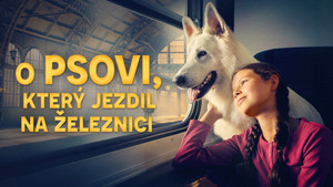 Obrázek pořadu O psovi, který jezdil na železnici
