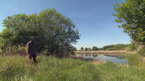 Nedej se! - Zabíjení povoleno