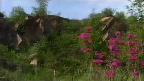 Živé srdce Evropy - Cínová hora