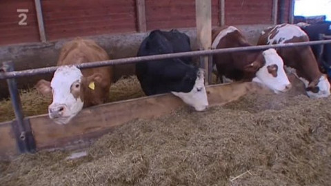 Přidej se - Mlékomaty a biobedýnky