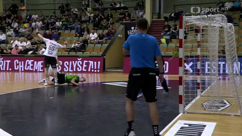 Házená - Talent tým Plzeňského kraje - TJ Sokol Nové Veselí