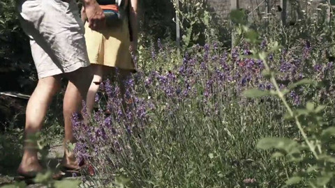 Tamtam - Tamtam plus