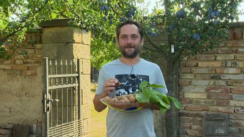 Polopatě - 9. září 2018