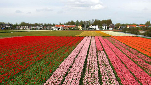 Vůně cizích krajů - Nizozemsko, země tradic i moderny