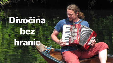 Divočina bez hranic