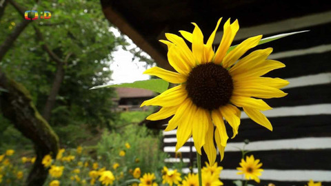 Tamtam - 10. září 2022