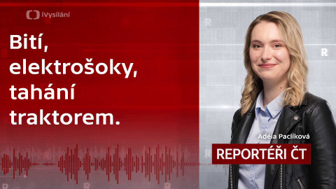 Podcast Reportéři ČT - Bití, elektrošoky, tahání traktorem. Jak došlo k odhalení otřesného zacházení se zvířaty?