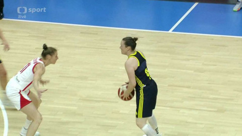 Basketbal - Česko - Švédsko