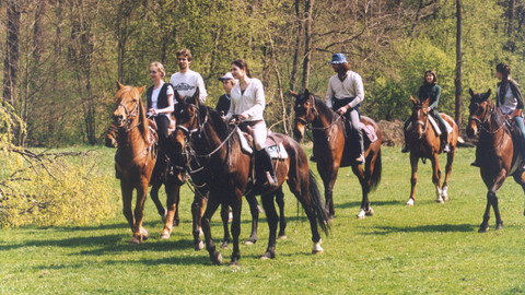 Hop nebo trop - 4/4 Na koních