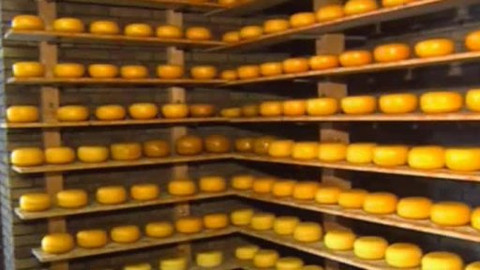 Postřehy odjinud - Benelux očima Milana Fridricha