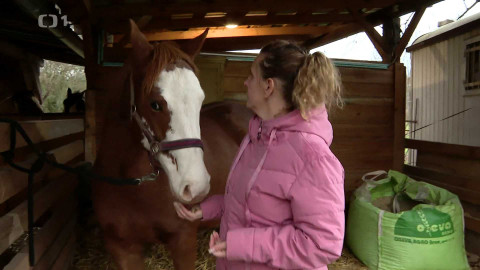 Černé ovce - 5. února