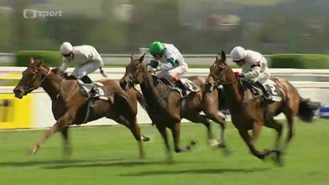 Turf - 23. dubna 2014