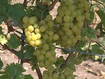 Turbulence - 18. září 2011