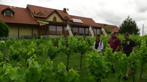 Cyklotoulky - Tokajská vínna cesta