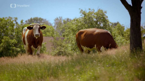 Kapka vody - Zemědělská půda