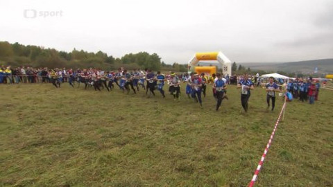 Sportovní běh a chůze - M ČR v orientačním běhu 2014 - štafety a kluby