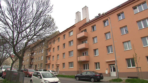 Černé ovce - 27. května 2024