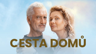 Cesta domů