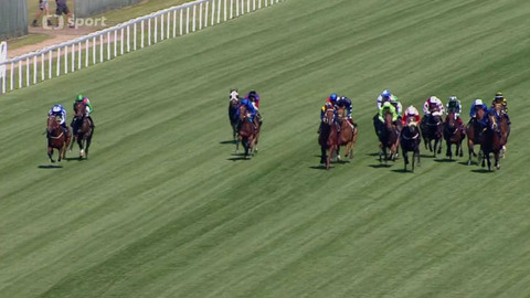 Dostihy - Český kůň v anglickém Ascotu