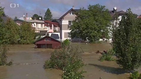 Černé ovce - 16. září 2024