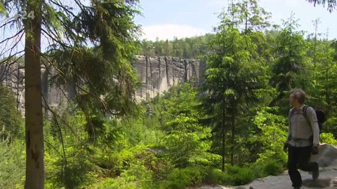 Regiony ČT24 - 26. května 2018