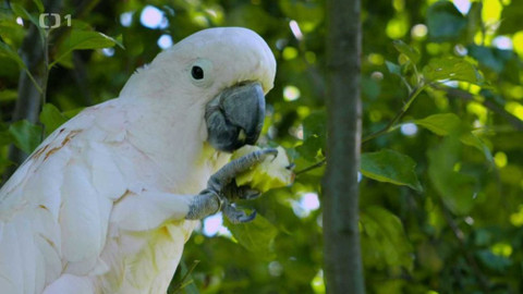 Polopatě - 24. září 2023