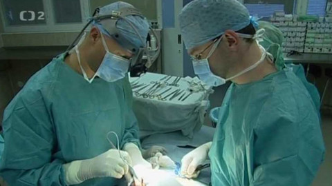Na pomoc životu - Transplantace