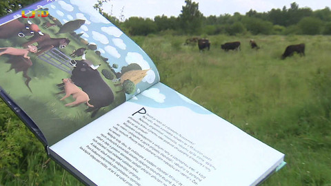 Zprávičky - 30. června