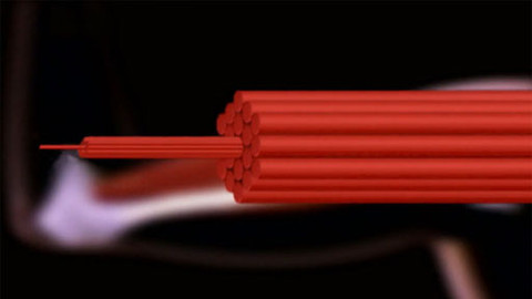 Svět zázraků - 21. března 2013