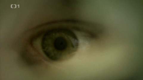 Škoda lásky - Škoda lásky