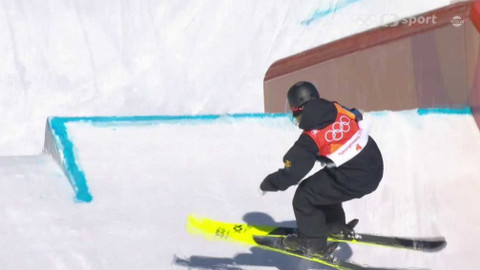 XXIII. zimní olympijské hry 2018 Pchjongčchang - Akrobatické lyžování