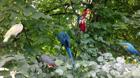 Máte mě! - 22. července 2012