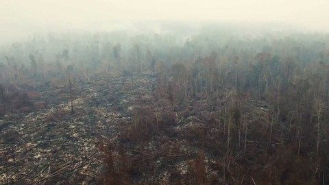 Nedej se! - Biopaliva - drahý bioomyl?