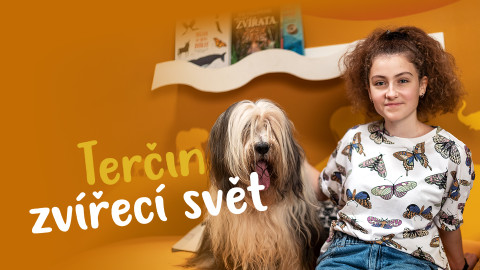 Terčin zvířecí svět