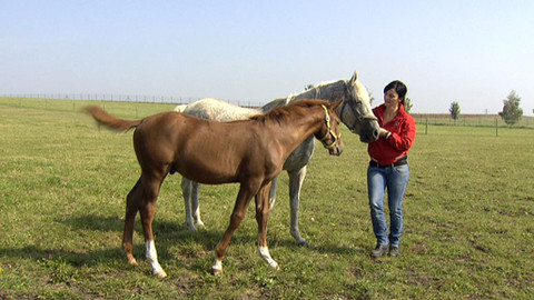 Chcete mě? - 9. října 2011