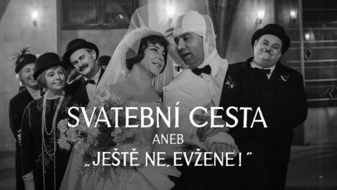 Svatební cesta aneb Ještě ne, Evžene!