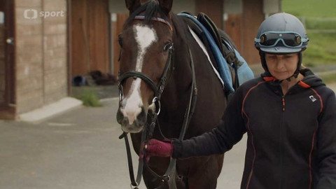 Velká pardubická - Před Velkou pardubickou