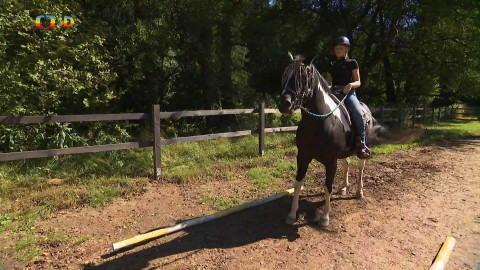 Zprávičky - 19. srpna