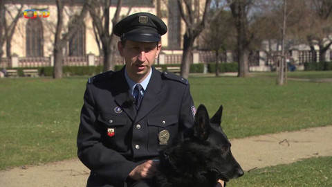 Zprávičky - 23. března 2019