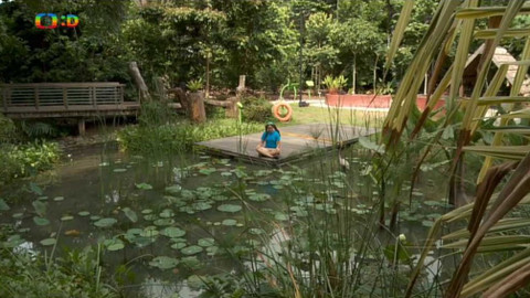 Světoběžky - Krásy Singapuru