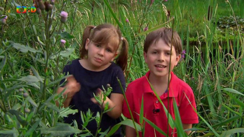 Hopsasa - Nekonečná schovka