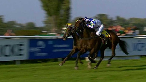 Velká pardubická - historie - 2005