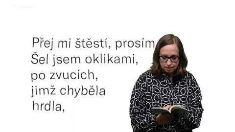 Jedna báseň - Dagmar Plamperová