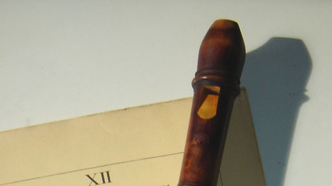 Follia - určitý druh bláznovství