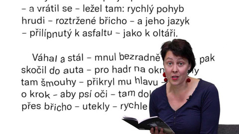 Jedna báseň - Irena Šťastná